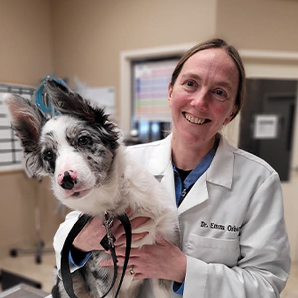 Dr. Emma Osbourne, Napanee Veterinarian